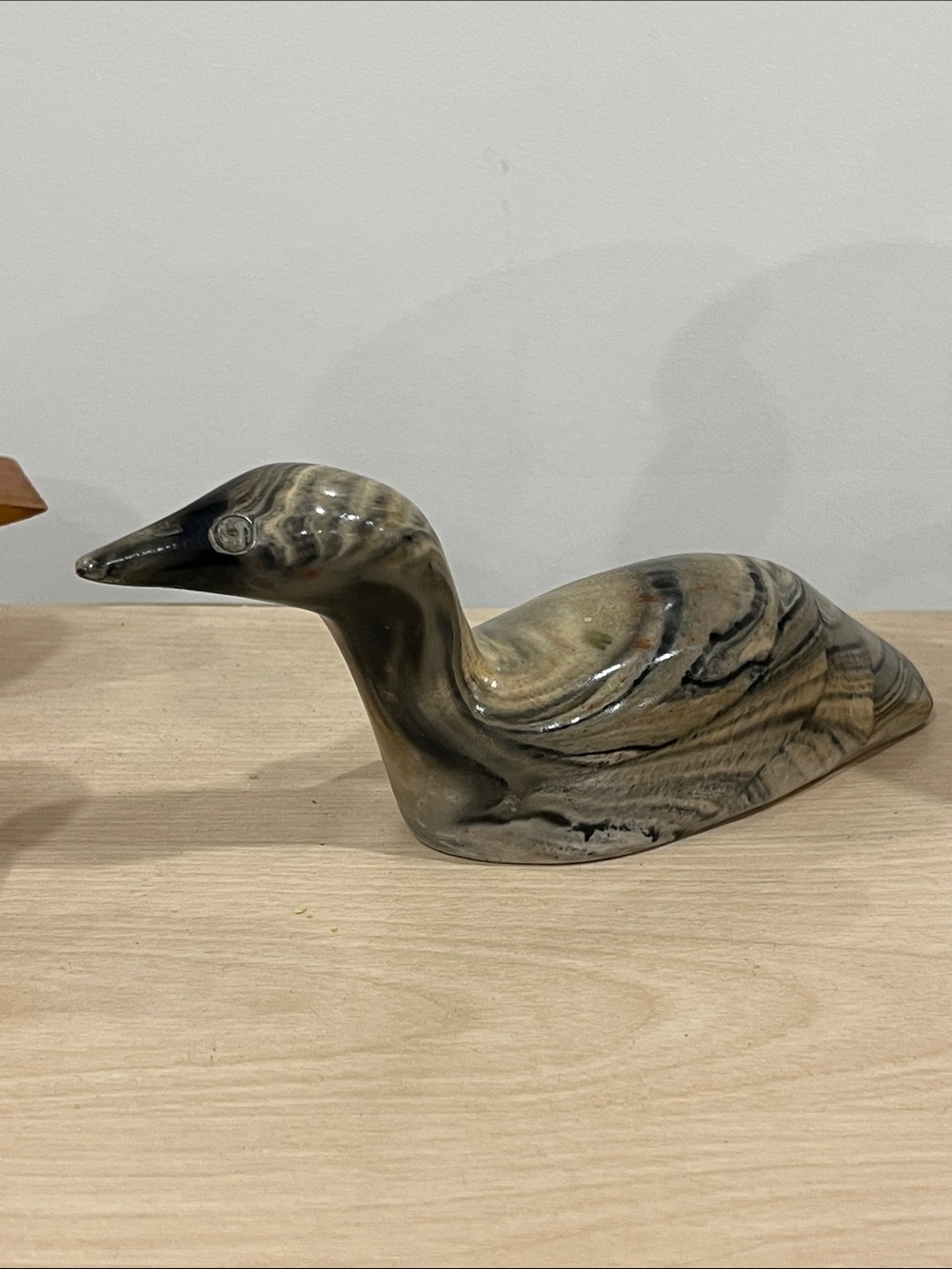 Cattle horn duck